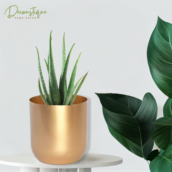 Gold & Black Metallic Miniature Pot – Compact Indoor Plant Pot for Tabletop & Shelf Decor